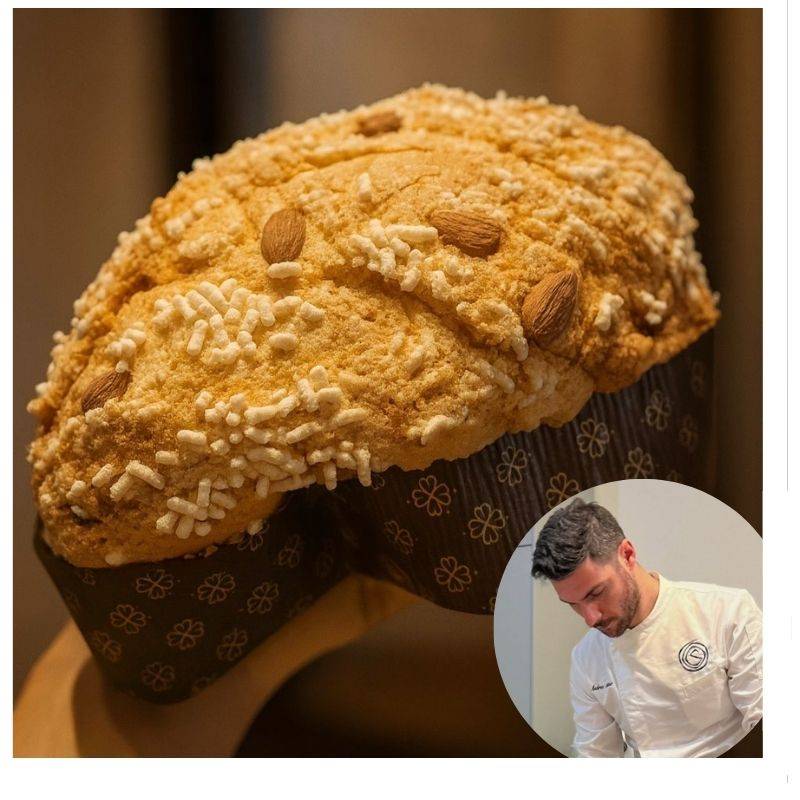 sortino 3 colomba